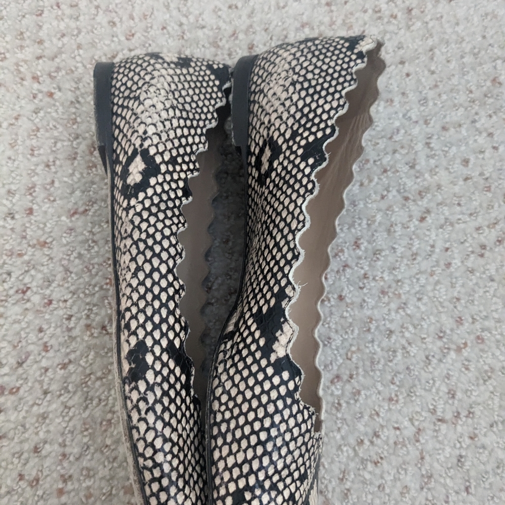 Chloe Lauren Python Embossed Snakeskin scallop Leather Ballet Flats Sz 9.5 $595. - Picture 5 of 12